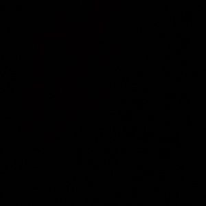 Meet your Posher, Abigail